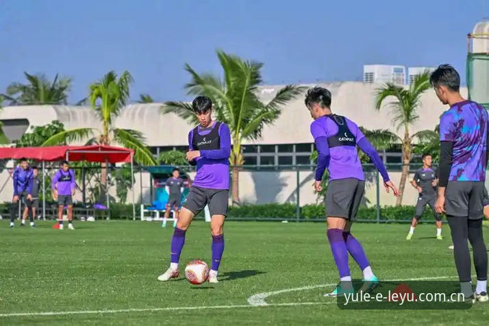 揭秘乐鱼体育功能强大背后的真相：从新手到高手的完整体验指南